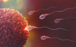 Ovulation Disorders